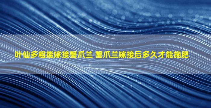 叶仙多粗能嫁接蟹爪兰 蟹爪兰嫁接后多久才能施肥